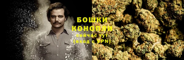 шишки Алексеевка